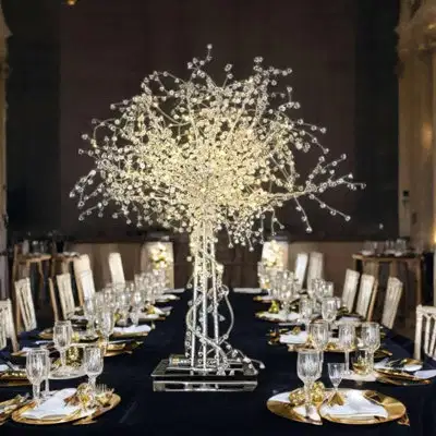 Black & White Chic Inspo - Party Vibes