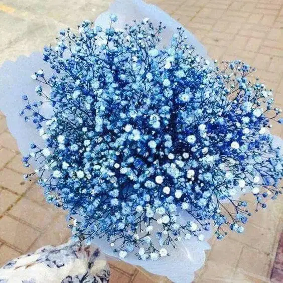 Blue Star Flower Bouquet - Ramos