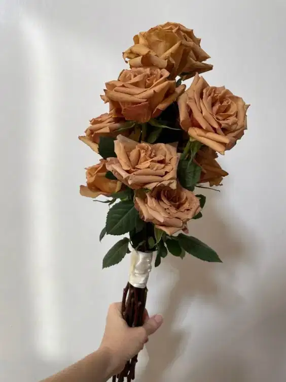 Brown Toffee Roses - Ramos