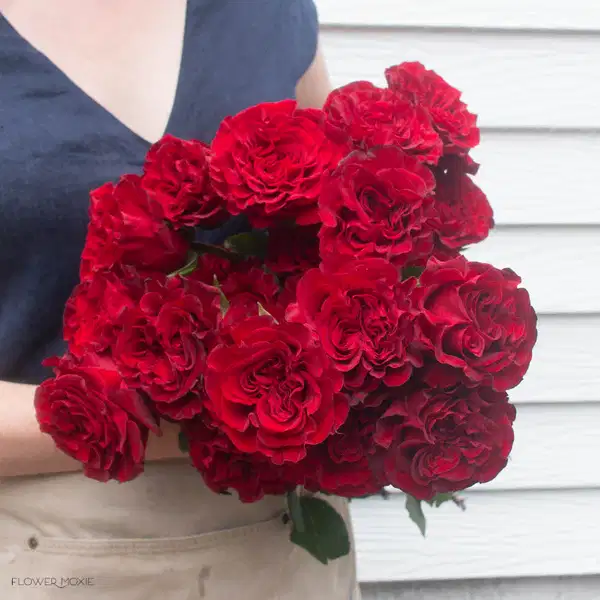 Deep Red Hearts Rose Bouquet - Ramos