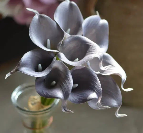 Gray Calla Lilies Real Touch Flowers - Quinceañera Ramos