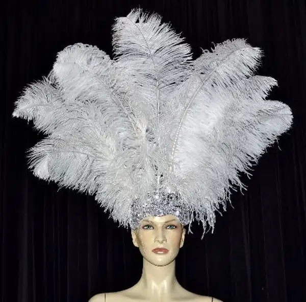 Outrageous Ostrich Feather Headdress - Headpieces