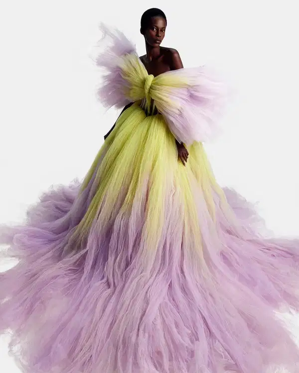 Ombre Tulle Dress - Dresses