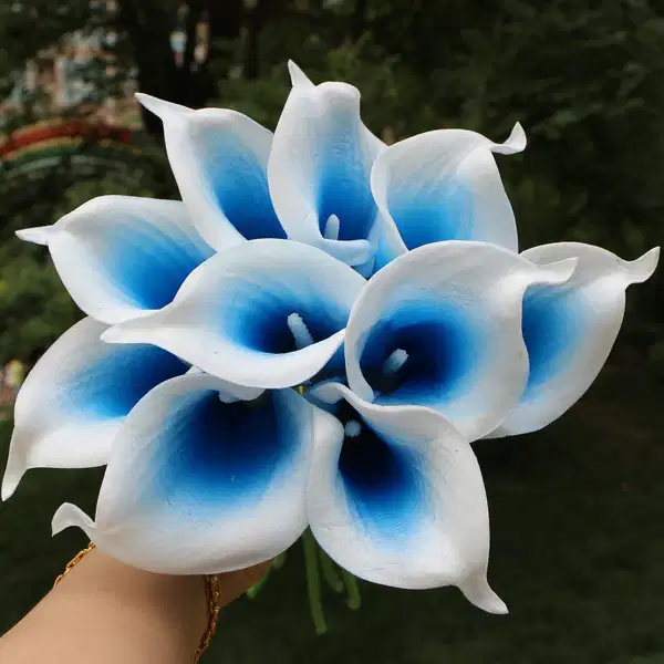 Royal Blue Picasso Calla Lily Bouquet - Ramos