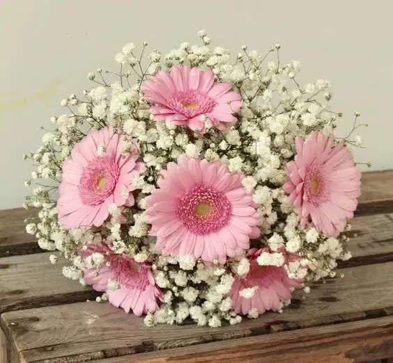 Pink Blush Beauty - Ramos