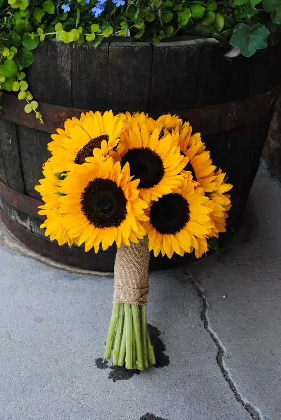 Natural Yellow Sunflowers - Ramos