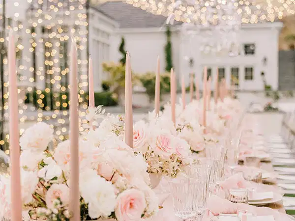 Romantic Blush Inspo - Party Vibes
