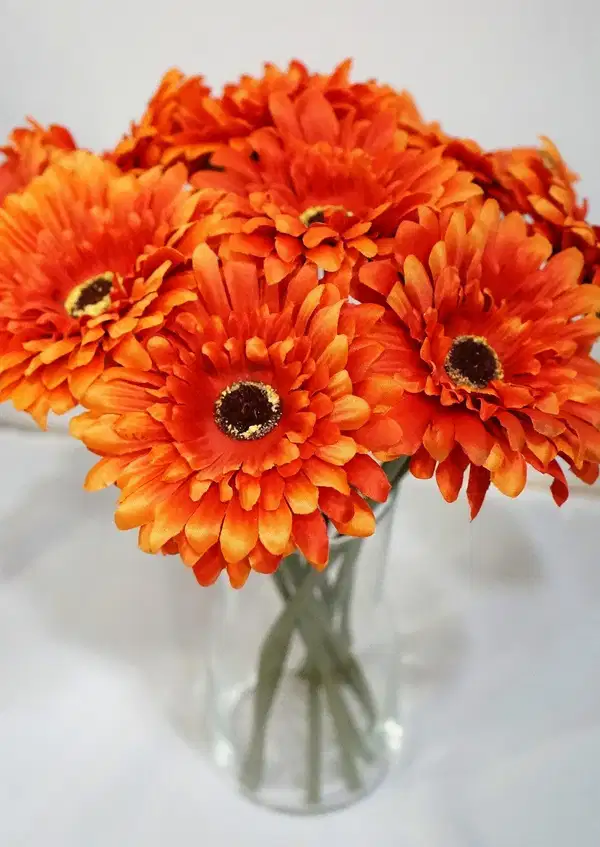 Gerbera Silk Daisy Bouquet - Ramos