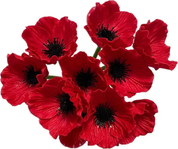 Silk Poppy Flower Bouquet - Ramos