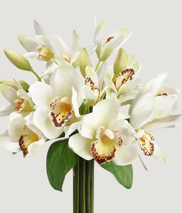 Cymbidium Artificial Orchid Flower Bouquet - Ramos