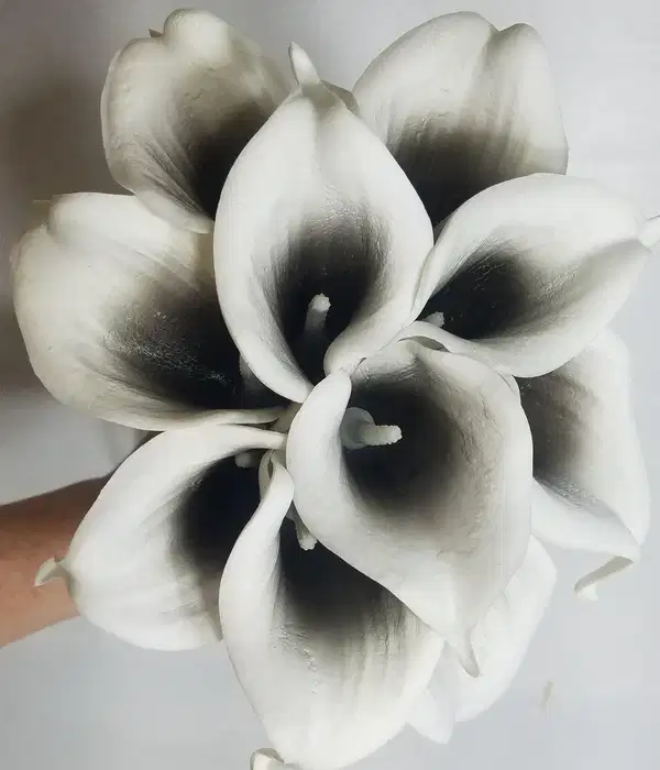Black White Calla Lily Bouquet - Ramos