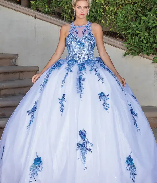 Princess Blue and White Ball Gown - Dresses