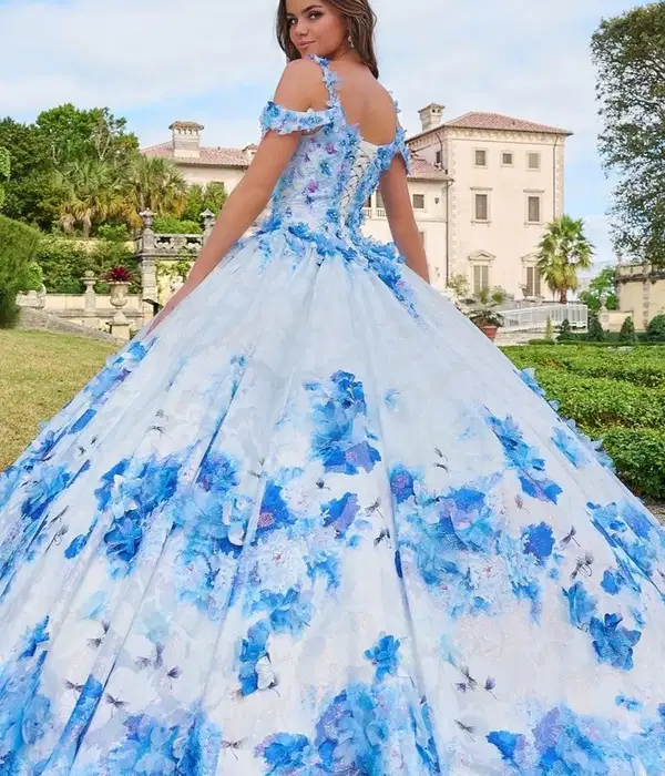 Blue and White Quinceanera Dress - Dresses