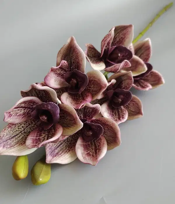 Cymbidium Orchid Stems Real Touch Florals - Ramos