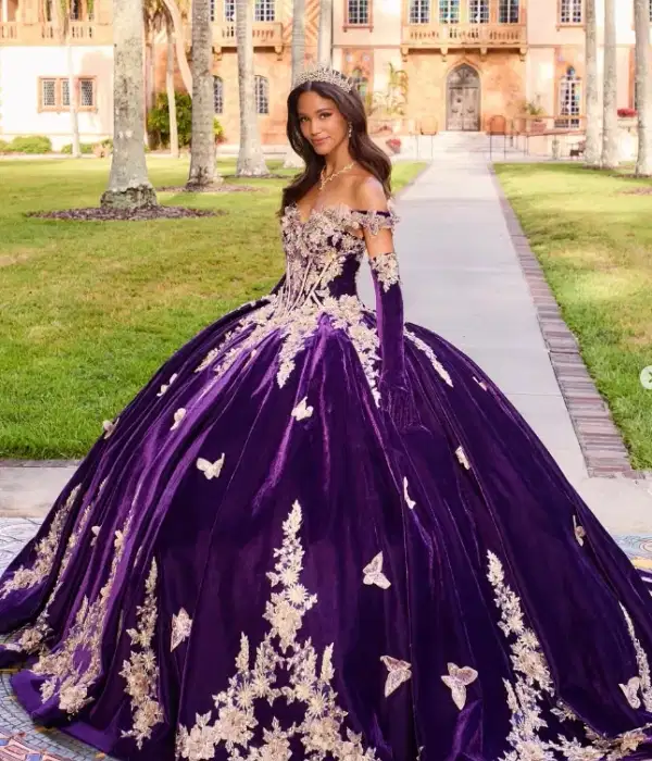 Royal Purple Velvet Quinceanera Dresses - Dresses