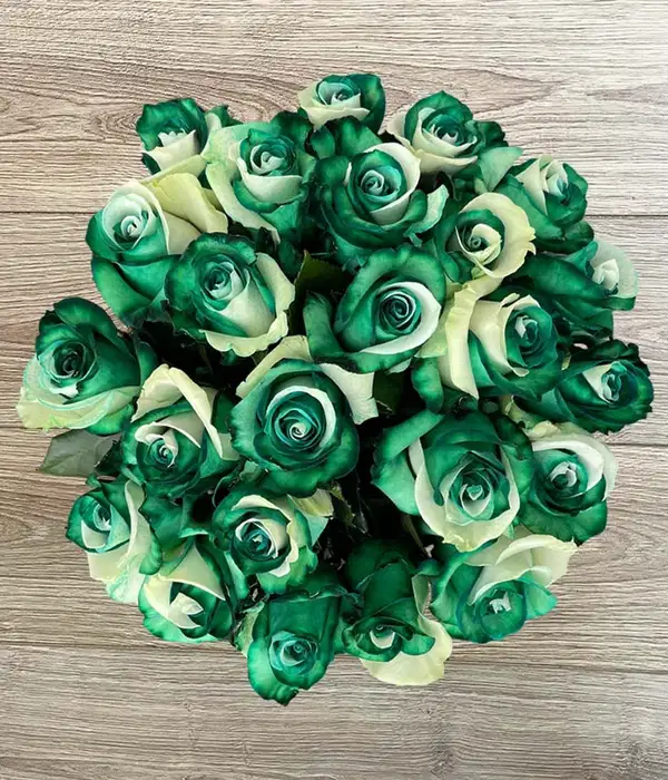 Green Boldness Rose Bouquet - Ramos