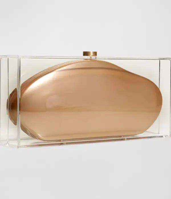Annika Clear Acrylic Clutch Bag - Purses