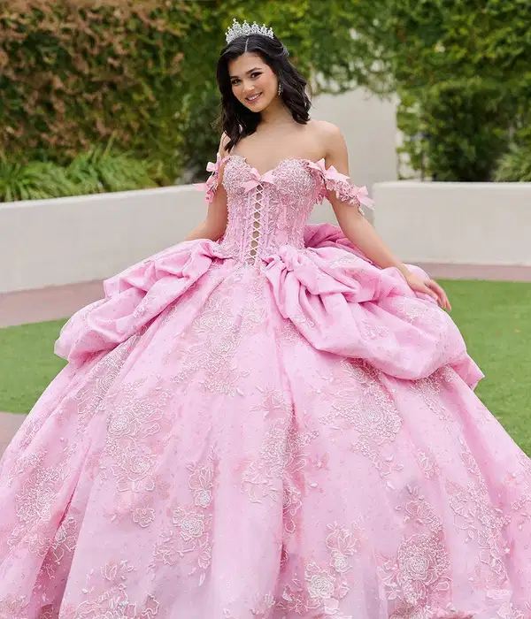 Amabella Pink Princess Gown - Dresses