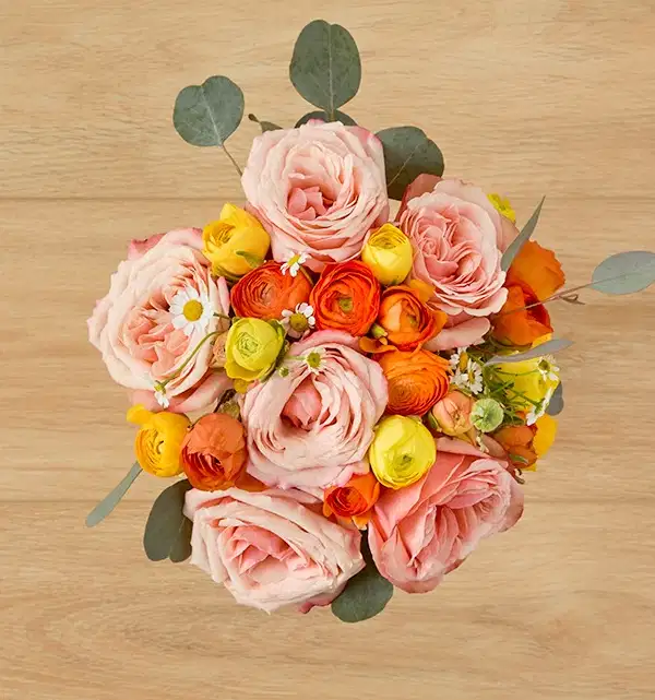 Citrus Chic - Ramos