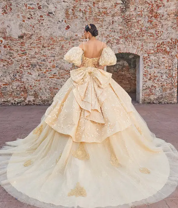 Audrey Quinceañera Dress - Dresses