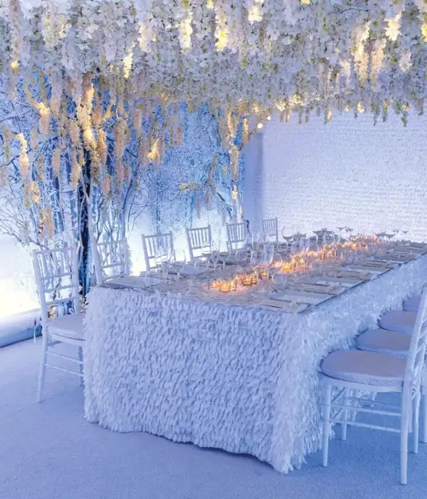 White Winter Wonderland - Party Vibes