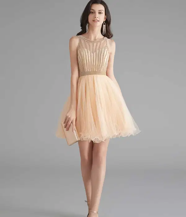 Chic Short Champagne Tulle Party Dress - Dresses