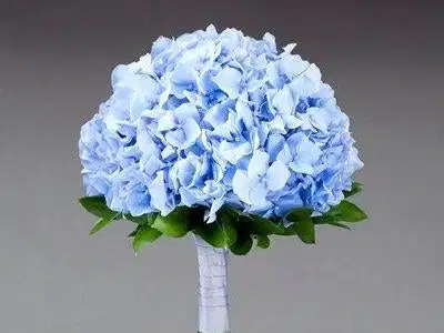 Light Blue Hydrangea Bouquet - Ramos