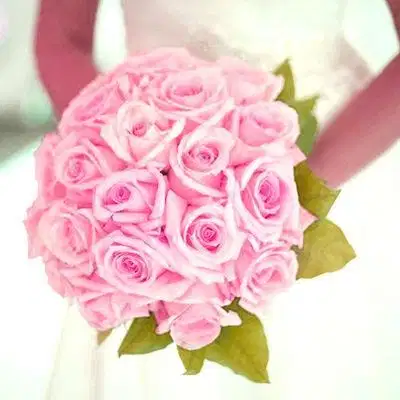 Light Pink Rose Bouquet - Ramos