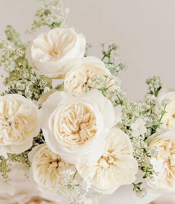 David Austin White Rose Bouquet - Ramos