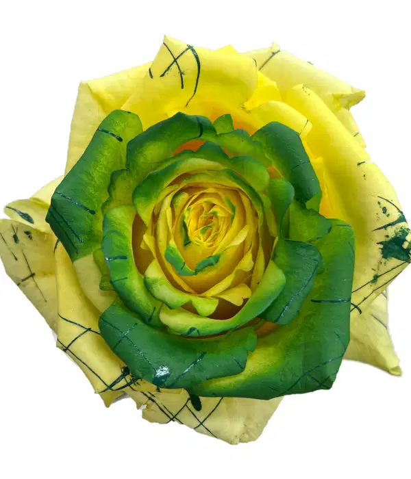 Lucky Day Rose Bouquet - Ramos