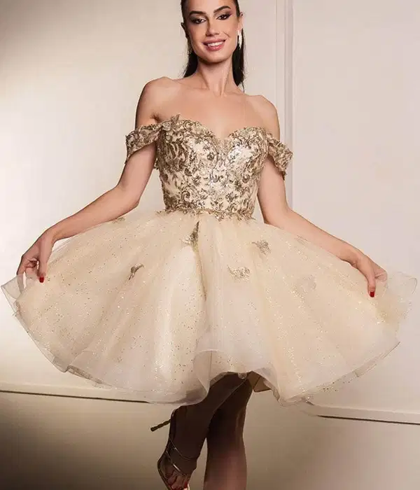 Butterfly Sweetheart Sweet 15 Dress - Dresses