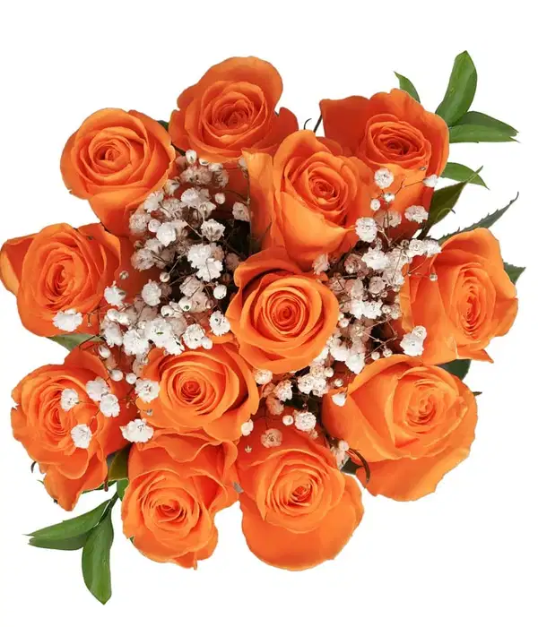 Orange Rose Bouquet - Ramos