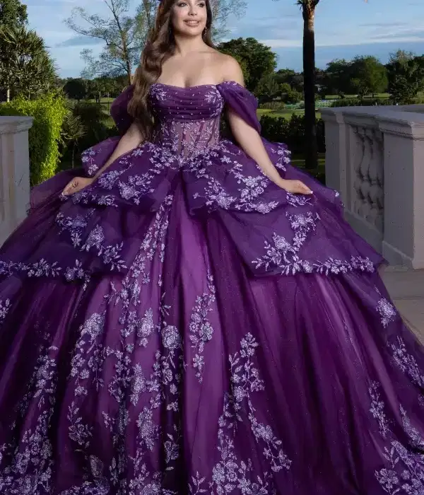 Purple Vizcaya Quinceanera Gown - Dresses