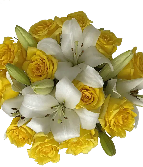 Yellow and White Spectacular Bouquet - Ramos